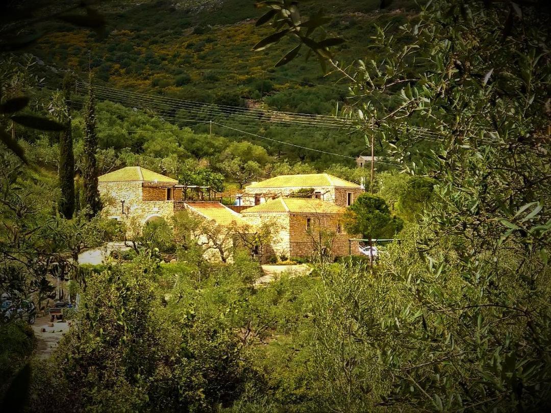 Tsivouli Accommodation Lithakia  ภายนอก รูปภาพ